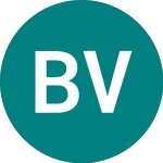 Logo of  (BHN).