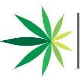 American Cannabis Company Inc (QB)