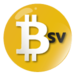 BSVUSD Logo