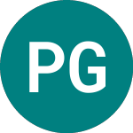 Logo of Princess Private Equity (PEYS).