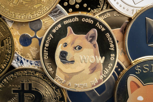 Is Dogecoin a Wise Investment Choice?